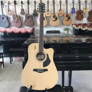 Guitar Rosen G11 Nâu gỗ