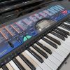 organ casio CTK-495