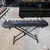 organ casio CTK-495