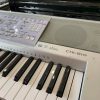 casio ctk-810