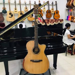 guitar siam gỗ cẩm