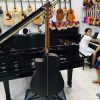 guitar siam gỗ cẩm