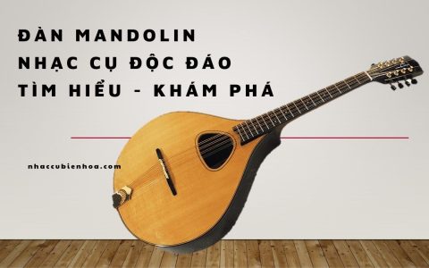 Tìm hiểu đàn Mandolin