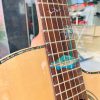 Guitar Washburn ALLURE SC56S