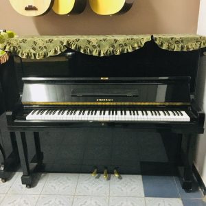 piano cơ steinrich