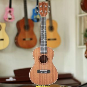 ukulele concert mahogany