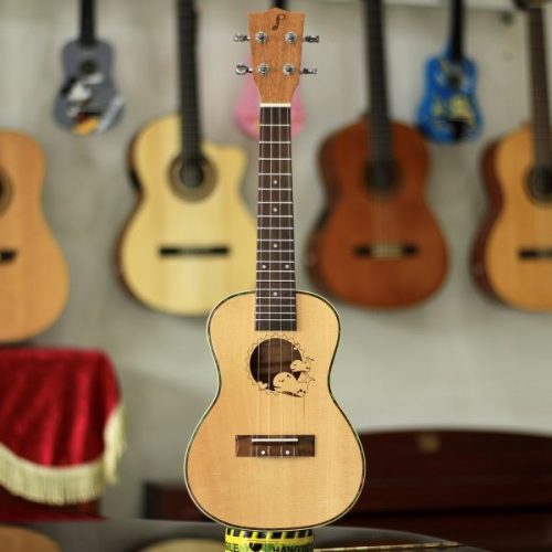 ukulele 3 kiểu họa tiết