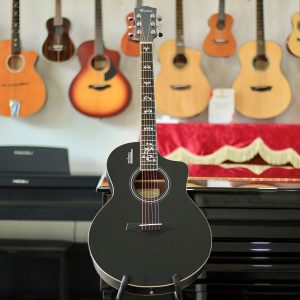 Guitar Rosen G12 Pro đen