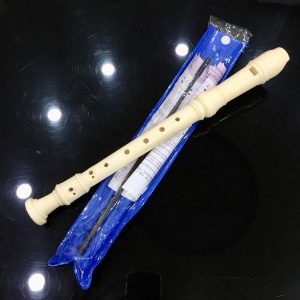 recorder thường