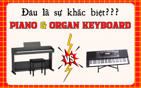 SỰ KHÁC BIỆT GIỮA ĐÀN PIANO & ORGAN KEYBOARD LÀ GÌ?