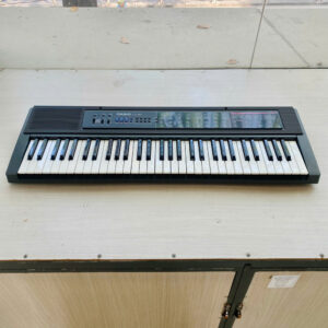 Organ Casio CTK-450